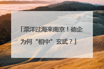 漂洋过海来南京！德企为何“相中”玄武？