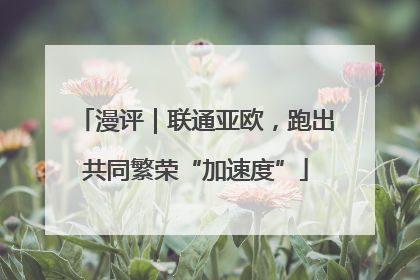 漫评｜联通亚欧，跑出共同繁荣“加速度”