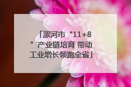漯河市“11+8”产业链培育 带动工业增长领跑全省