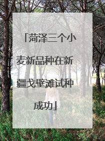 菏泽三个小麦新品种在新疆戈壁滩试种成功