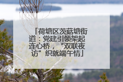 荷塘区茨菇塘街道：党建引领架起连心桥，“双联夜访”织就端午情
