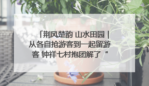 荆风楚韵 山水田园｜从各自抢游客到一起留游客 钟祥七村抱团解了“乡愁”添了“乡酬”