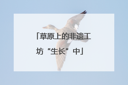 草原上的非遗工坊“生长”中