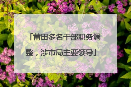 莆田多名干部职务调整，涉市局主要领导