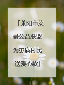 莱阳市菜哥公益联盟为患病村民送爱心款