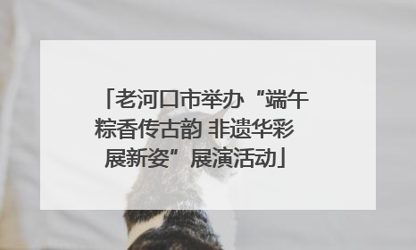 老河口市举办“端午粽香传古韵 非遗华彩展新姿”展演活动