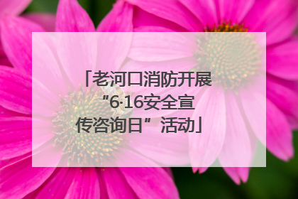 老河口消防开展“6·16安全宣传咨询日”活动