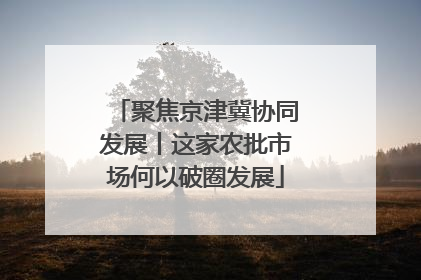 聚焦京津冀协同发展丨这家农批市场何以破圈发展