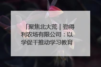 聚焦北大荒｜勤得利农场有限公司：以学促干推动学习教育“升温提速”