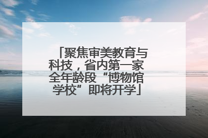 聚焦审美教育与科技，省内第一家全年龄段“博物馆学校”即将开学