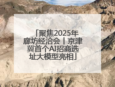 聚焦2025年廊坊经洽会丨京津冀首个AI招商选址大模型亮相