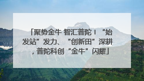 聚势金牛 智汇普陀〡“始发站”发力、“创新田”深耕，普陀科创“金牛”闪耀