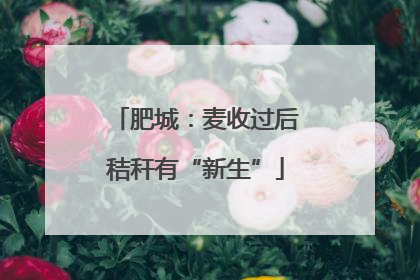 肥城：麦收过后秸秆有“新生”