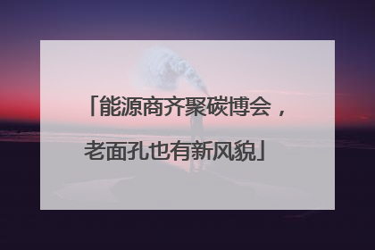 能源商齐聚碳博会，老面孔也有新风貌