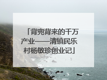 背兜背来的千万产业——清镇民乐村杨敏珍创业记