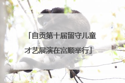 自贡第十届留守儿童才艺展演在富顺举行