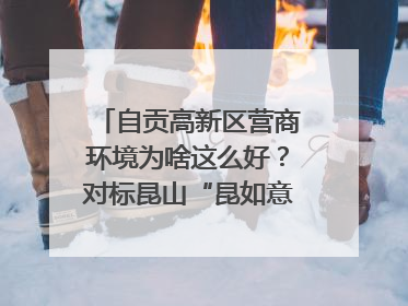 自贡高新区营商环境为啥这么好？对标昆山“昆如意”打造自贡“高兴办”｜美好生活有“盐”味