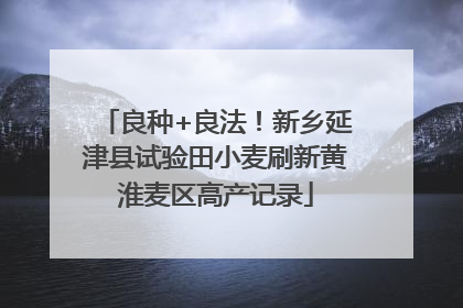 良种+良法！新乡延津县试验田小麦刷新黄淮麦区高产记录