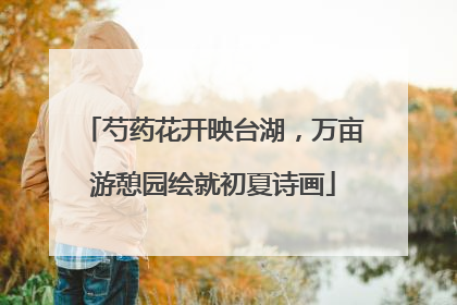 芍药花开映台湖，万亩游憩园绘就初夏诗画
