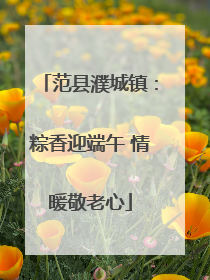 范县濮城镇：粽香迎端午 情暖敬老心