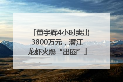 董宇辉4小时卖出3800万元，潜江龙虾火爆“出圈”