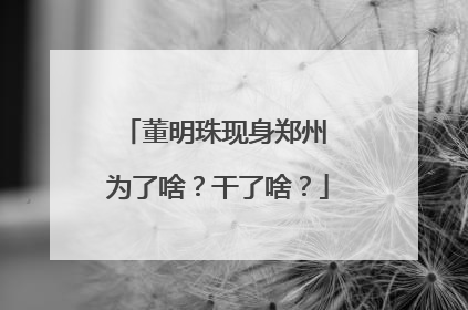 董明珠现身郑州 为了啥？干了啥？
