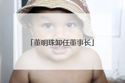 董明珠卸任董事长