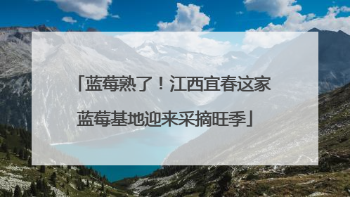 蓝莓熟了！江西宜春这家蓝莓基地迎来采摘旺季