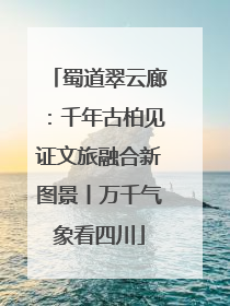 蜀道翠云廊：千年古柏见证文旅融合新图景丨万千气象看四川