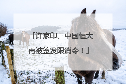 许家印、中国恒大再被签发限消令！