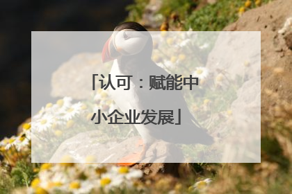 认可：赋能中小企业发展