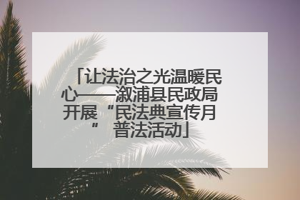 让法治之光温暖民心——溆浦县民政局开展“民法典宣传月” 普法活动