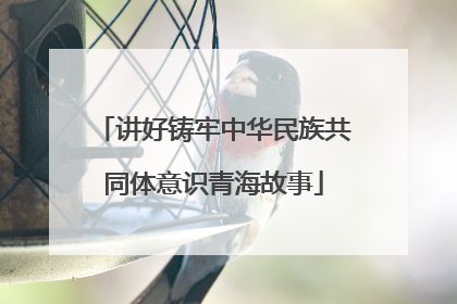 讲好铸牢中华民族共同体意识青海故事