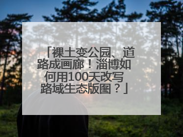 裸土变公园、道路成画廊！淄博如何用100天改写路域生态版图？