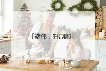 褚伟，升副部