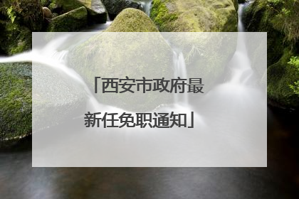 西安市政府最新任免职通知