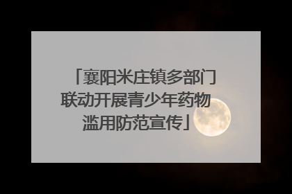 襄阳米庄镇多部门联动开展青少年药物滥用防范宣传