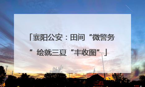 襄阳公安：田间“微警务”绘就三夏“丰收图”