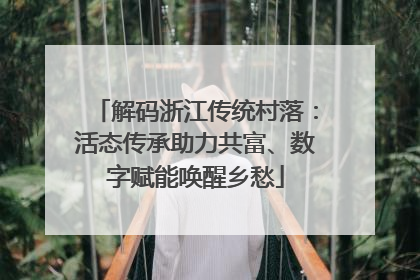 解码浙江传统村落：活态传承助力共富、数字赋能唤醒乡愁