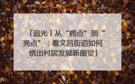 追光丨从“痛点”到“亮点”：看文昌街道如何绣出村居发展新图景