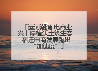 运河潮涌 电商业兴丨厚植沃土筑生态 宿迁电商发展跑出“加速度”