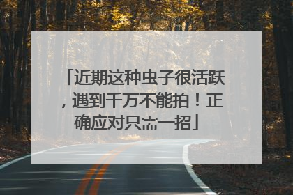 近期这种虫子很活跃，遇到千万不能拍！正确应对只需一招