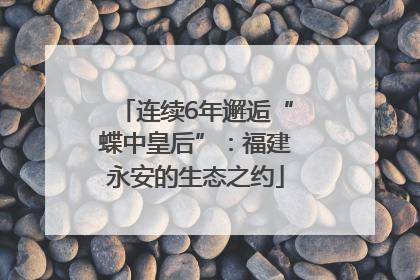 连续6年邂逅“蝶中皇后”：福建永安的生态之约