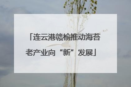 连云港赣榆推动海苔老产业向“新”发展