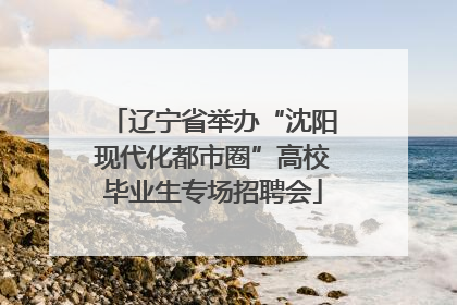 辽宁省举办“沈阳现代化都市圈”高校毕业生专场招聘会