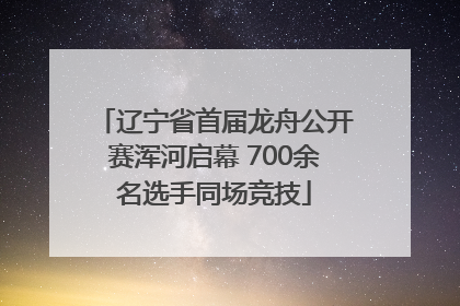 辽宁省首届龙舟公开赛浑河启幕 700余名选手同场竞技