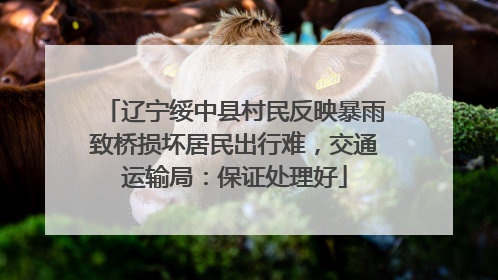 辽宁绥中县村民反映暴雨致桥损坏居民出行难，交通运输局：保证处理好