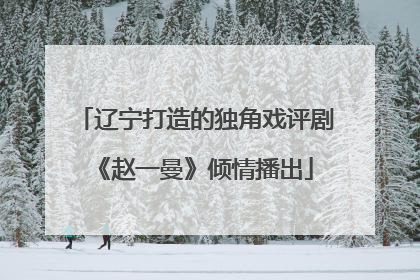 辽宁打造的独角戏评剧《赵一曼》倾情播出