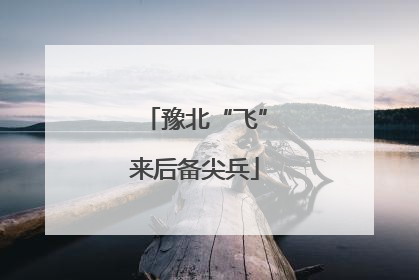 豫北“飞”来后备尖兵
