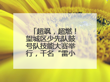 超飒，超燃！望城区少先队鼓号队技能大赛举行，千名“雷小锋”风采闪耀